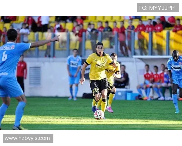 科特赖克与欧本对决分析及推荐策略详解