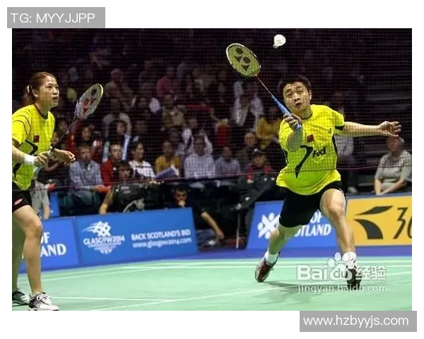 南京羽毛球队区域防守策略分析与战术解读探讨