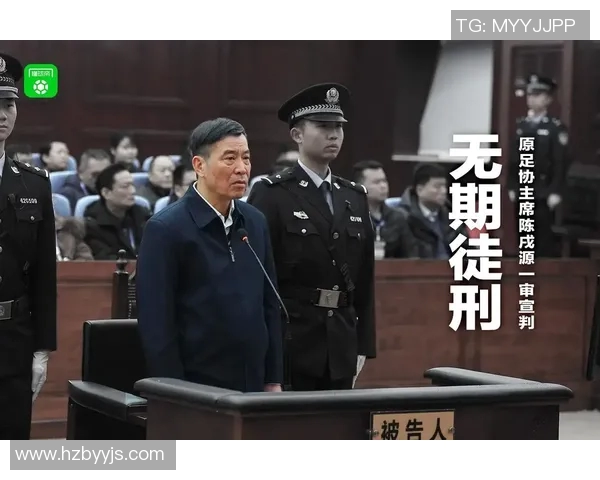 中国足球明星陈能的职业生涯与成就全解析
